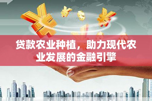 厦门贷款农业种植，助力现代农业发展的金融引擎