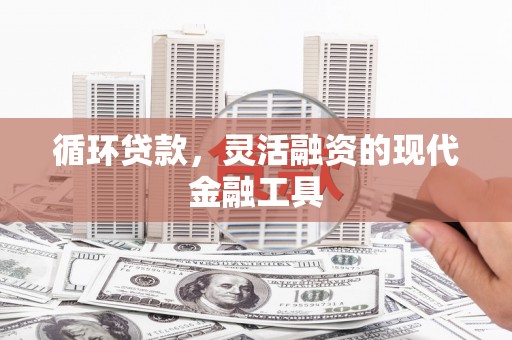 厦门循环贷款，灵活融资的现代金融工具