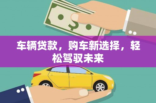 厦门车辆贷款，购车新选择，轻松驾驭未来