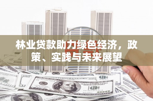 厦门林业贷款助力绿色经济，政策、实践与未来展望