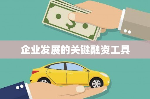 厦门企业发展的关键融资工具