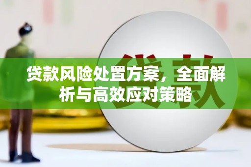厦门贷款风险处置方案，全面解析与高效应对策略