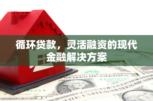 厦门循环贷款，灵活融资的现代金融解决方案