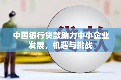 厦门中国银行贷款助力中小企业发展，机遇与挑战