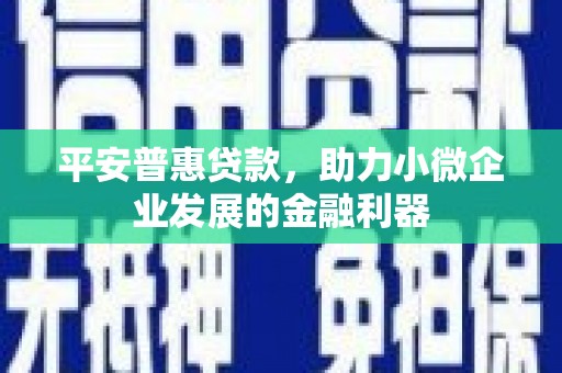 厦门平安普惠贷款，助力小微企业发展的金融利器