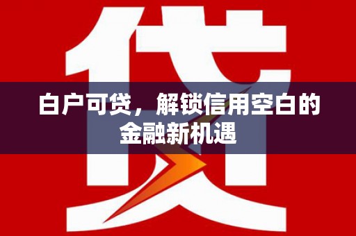 厦门白户可贷，解锁信用空白的金融新机遇
