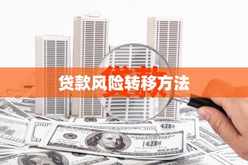 厦门贷款风险转移方法
