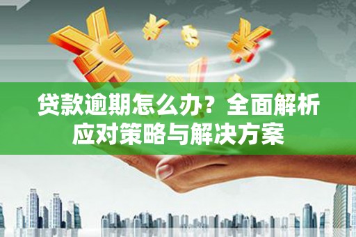 厦门贷款逾期怎么办？全面解析应对策略与解决方案