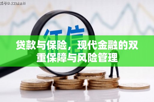 厦门贷款与保险，现代金融的双重保障与风险管理