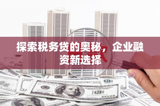 厦门探索税务贷的奥秘，企业融资新选择