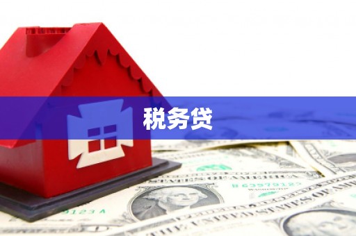 厦门税务贷