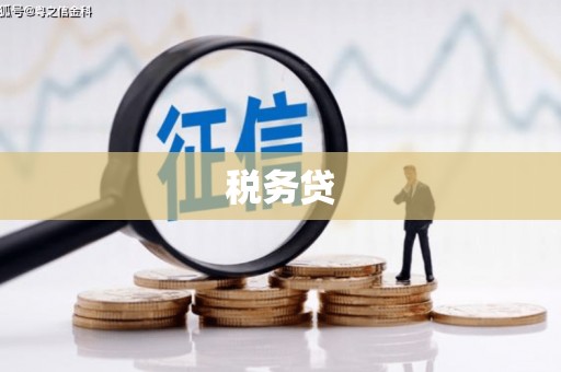 厦门税务贷