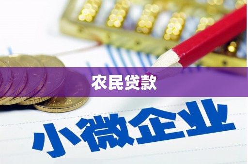 厦门农民贷款