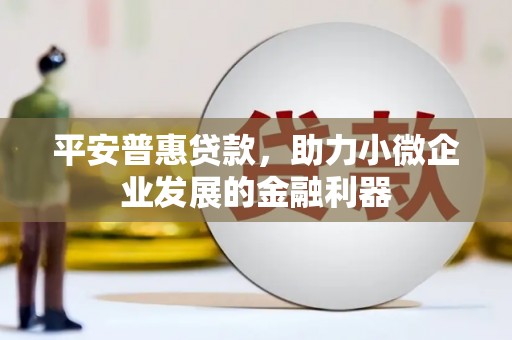 厦门平安普惠贷款，助力小微企业发展的金融利器