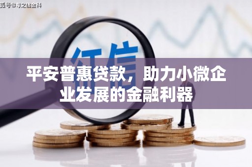 厦门平安普惠贷款，助力小微企业发展的金融利器
