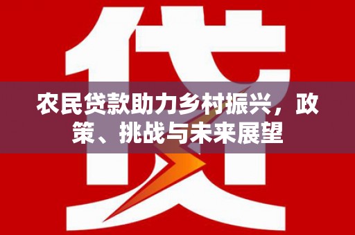 厦门农民贷款助力乡村振兴，政策、挑战与未来展望