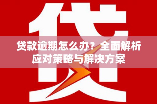 厦门贷款逾期怎么办？全面解析应对策略与解决方案