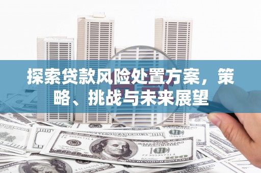 厦门探索贷款风险处置方案，策略、挑战与未来展望