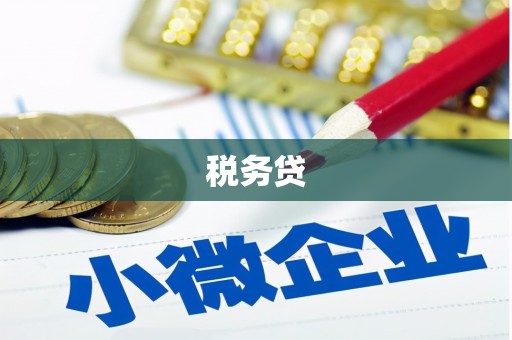 厦门税务贷