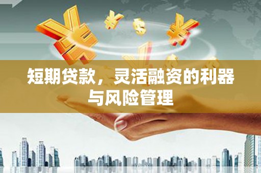 厦门短期贷款，灵活融资的利器与风险管理