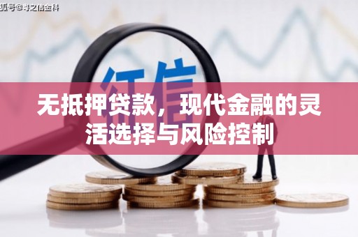 厦门无抵押贷款，现代金融的灵活选择与风险控制