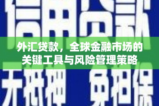 厦门外汇贷款，全球金融市场的关键工具与风险管理策略