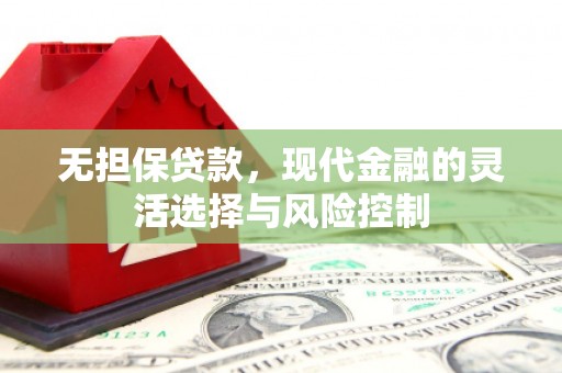 厦门无担保贷款，现代金融的灵活选择与风险控制