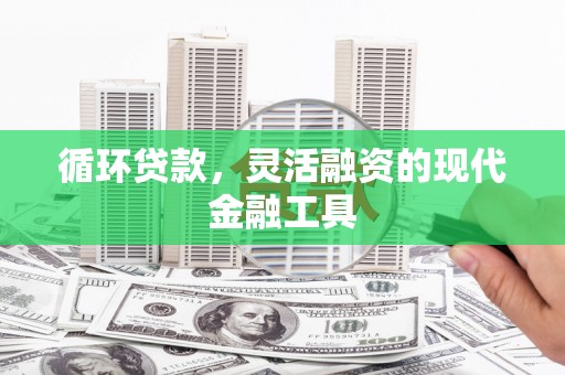 厦门循环贷款，灵活融资的现代金融工具