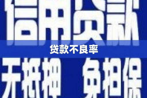 厦门贷款不良率