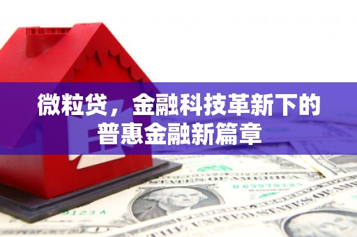 厦门微粒贷，金融科技革新下的普惠金融新篇章