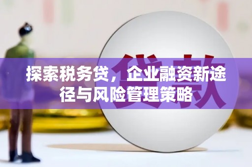 厦门探索税务贷，企业融资新途径与风险管理策略