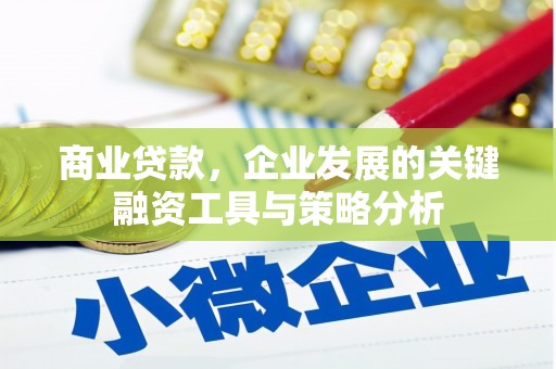 厦门商业贷款，企业发展的关键融资工具与策略分析