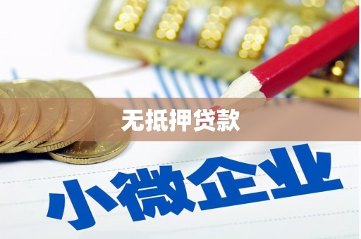 厦门无抵押贷款