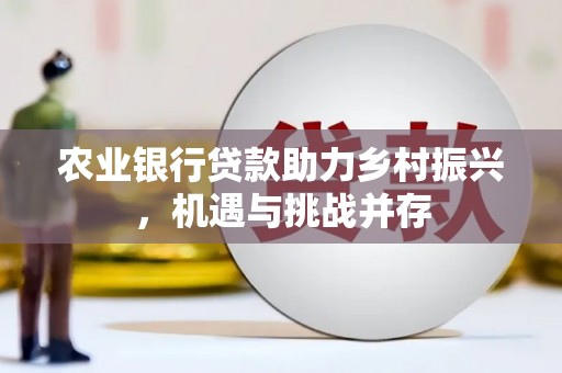 厦门农业银行贷款助力乡村振兴，机遇与挑战并存