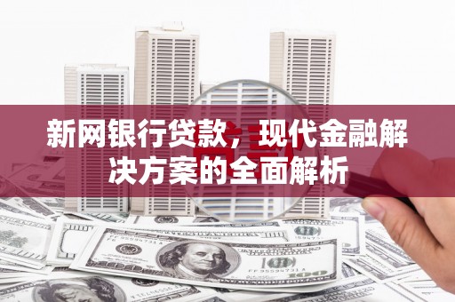 厦门新网银行贷款，现代金融解决方案的全面解析