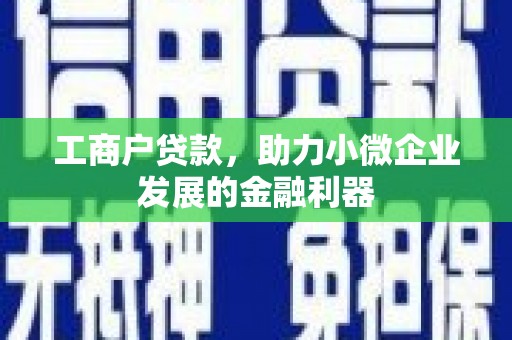 厦门工商户贷款，助力小微企业发展的金融利器