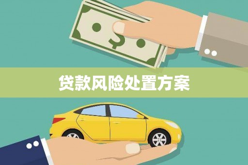 厦门贷款风险处置方案