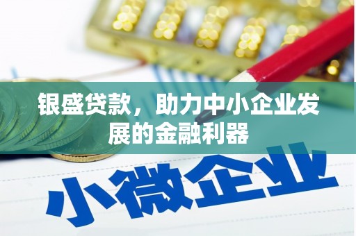 厦门银盛贷款，助力中小企业发展的金融利器