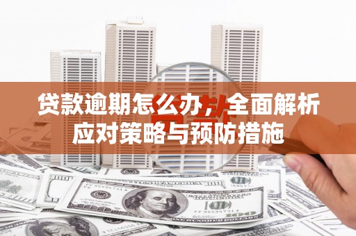厦门贷款逾期怎么办，全面解析应对策略与预防措施