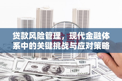 厦门贷款风险管理，现代金融体系中的关键挑战与应对策略