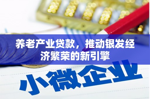 厦门养老产业贷款，推动银发经济繁荣的新引擎