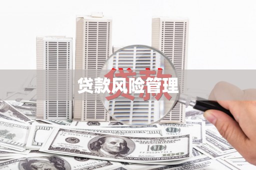 厦门贷款风险管理