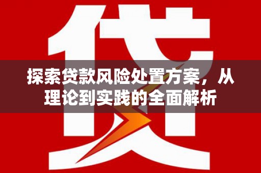 厦门探索贷款风险处置方案，从理论到实践的全面解析