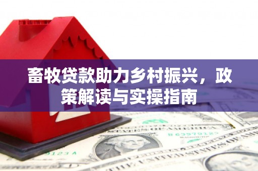 厦门畜牧贷款助力乡村振兴，政策解读与实操指南