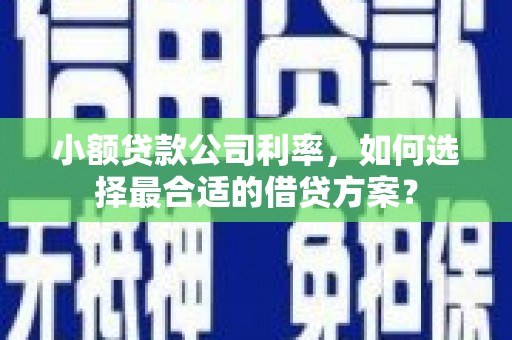 厦门小额贷款公司利率，如何选择最合适的借贷方案？