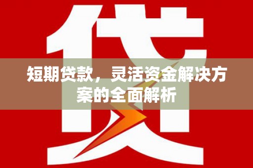 厦门短期贷款，灵活资金解决方案的全面解析