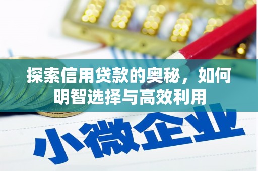 厦门探索信用贷款的奥秘，如何明智选择与高效利用