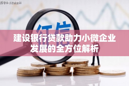 厦门建设银行贷款助力小微企业发展的全方位解析