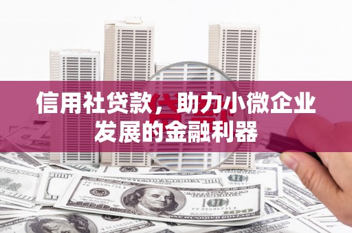 厦门信用社贷款，助力小微企业发展的金融利器