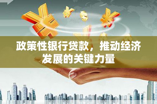 厦门政策性银行贷款，推动经济发展的关键力量